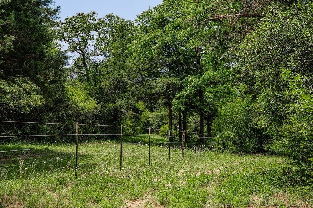 209.99 acres in Leon County featured view