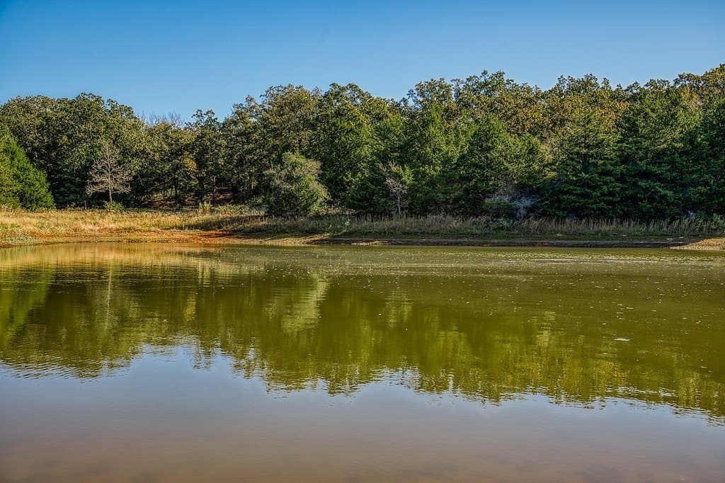 209.99 acres in Leon County - photo 11