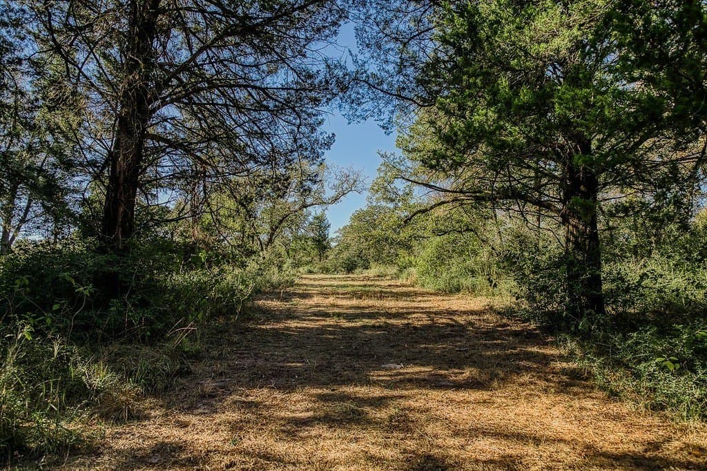 209.99 acres in Leon County - photo 27