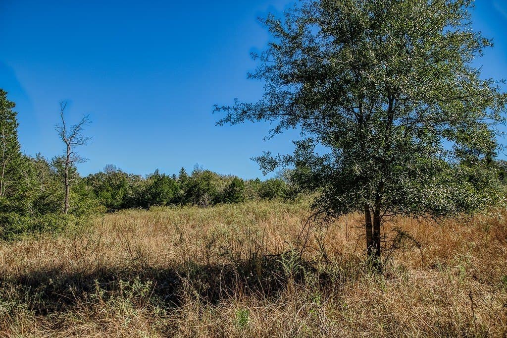 209.99 acres in Leon County - photo 24