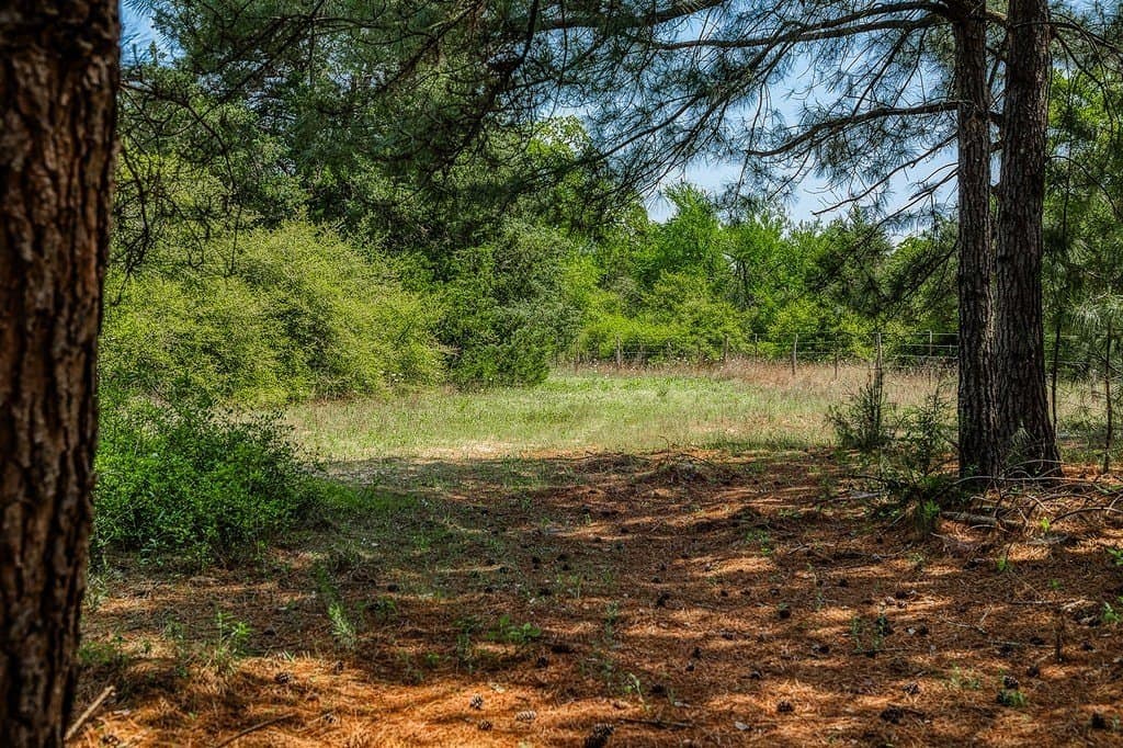 209.99 acres in Leon County - photo 8