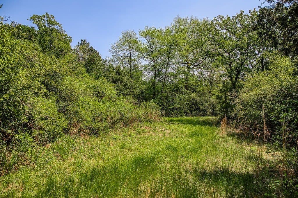 209.99 acres in Leon County - photo 9