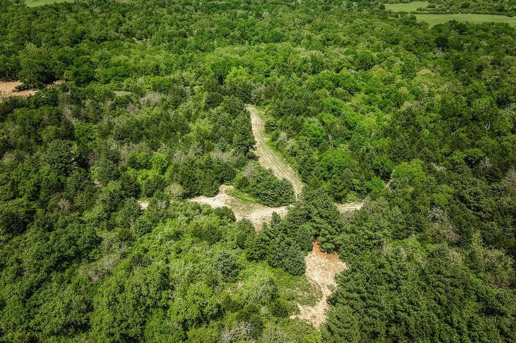209.99 acres in Leon County - photo 29