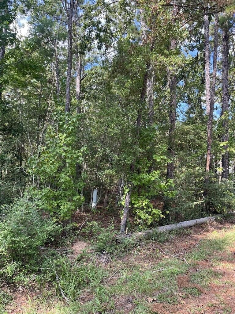 0.52 acres in Texas County - photo 2