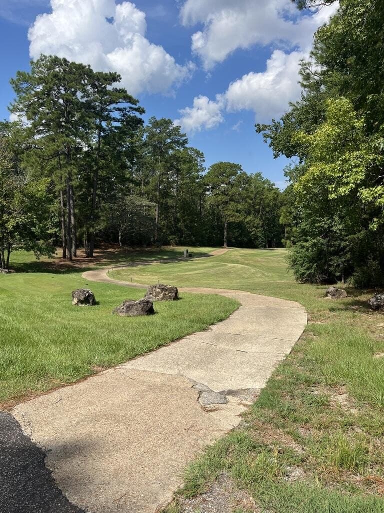 0.52 acres in Texas County - photo 4