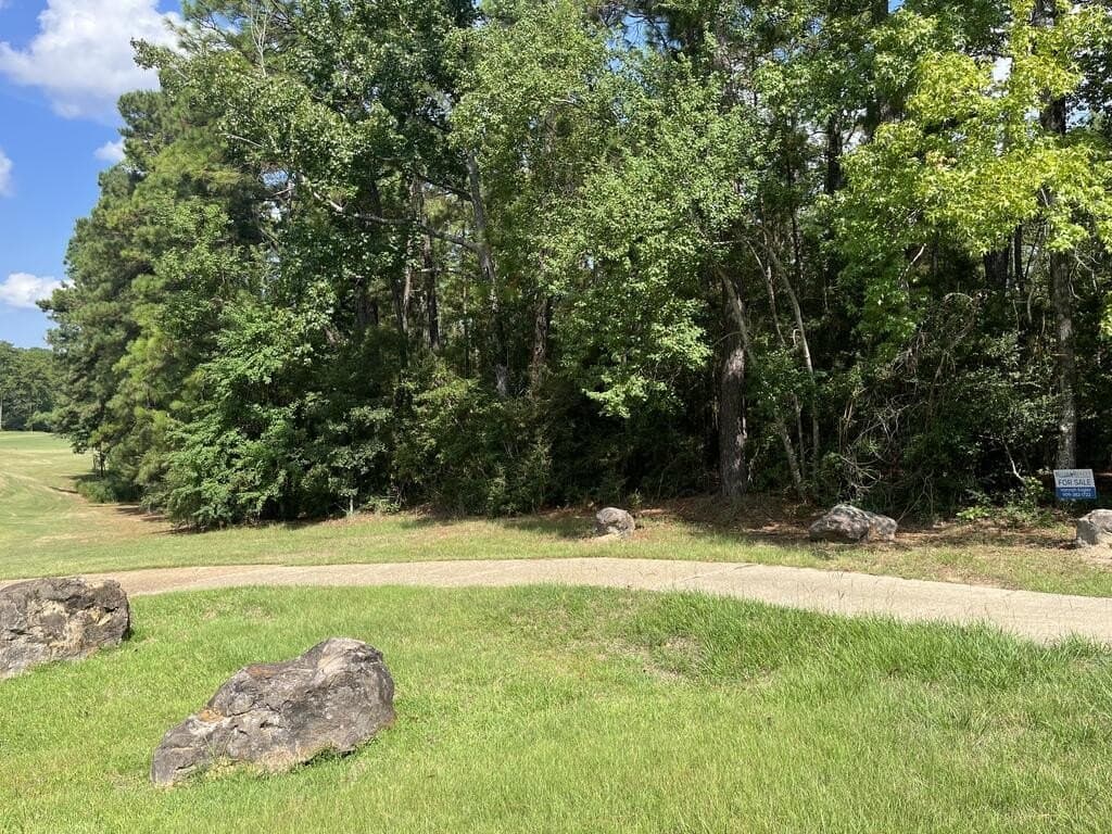 0.52 acres in Texas County - photo 3