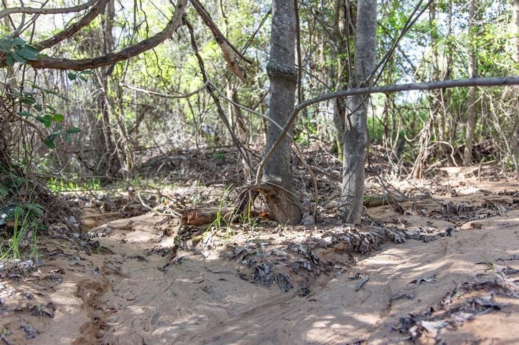 3.18 acres in Smith County gallery image 2