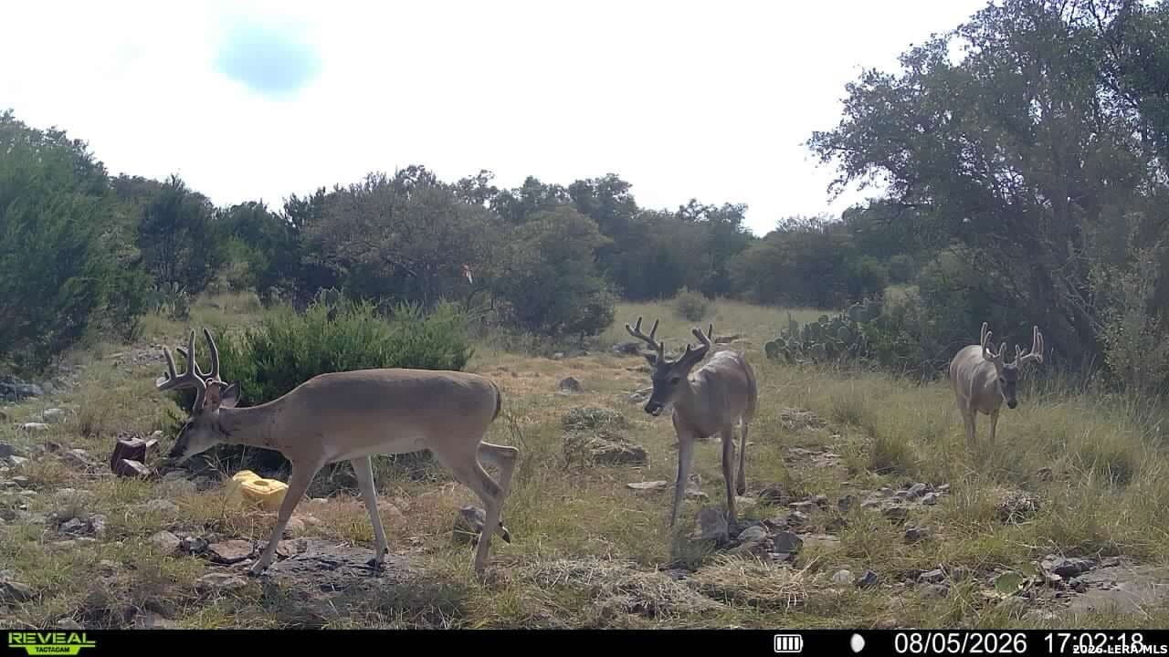 27.66 acres in Edwards County - photo 19