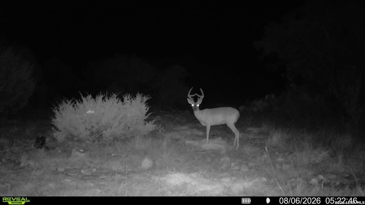 27.66 acres in Edwards County - photo 20