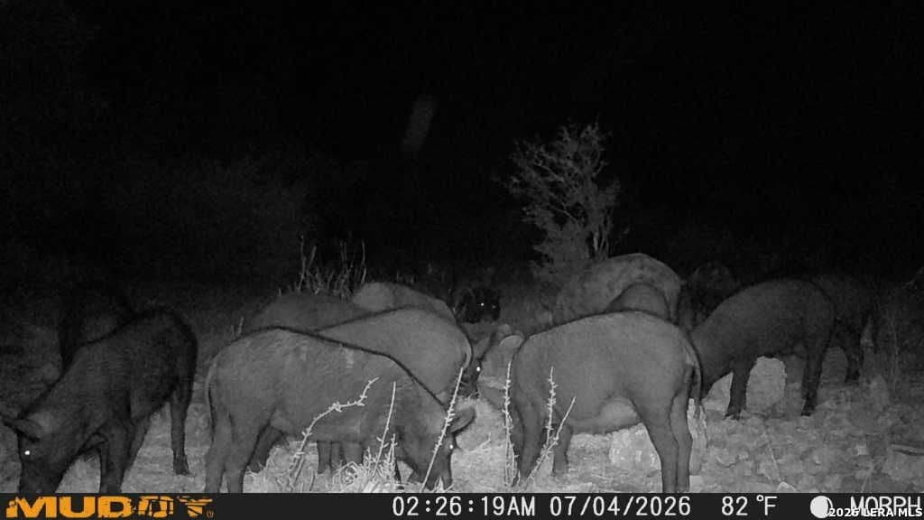 27.66 acres in Edwards County - photo 30