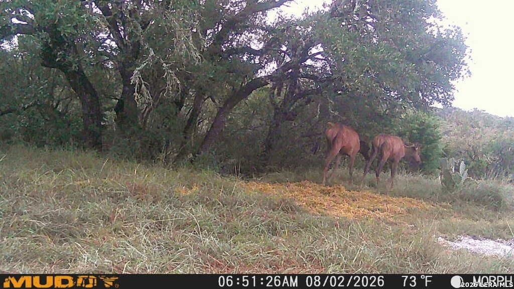 27.66 acres in Edwards County - photo 23