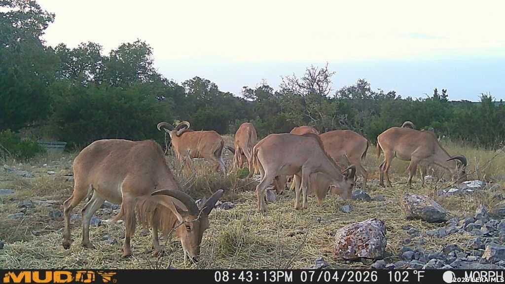 27.66 acres in Edwards County - photo 22