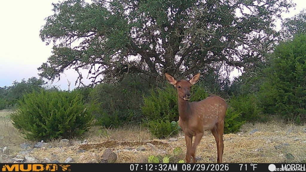 27.66 acres in Edwards County - photo 27