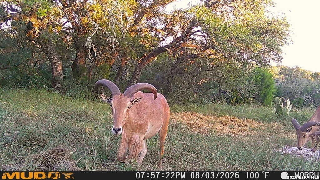 27.66 acres in Edwards County - photo 26