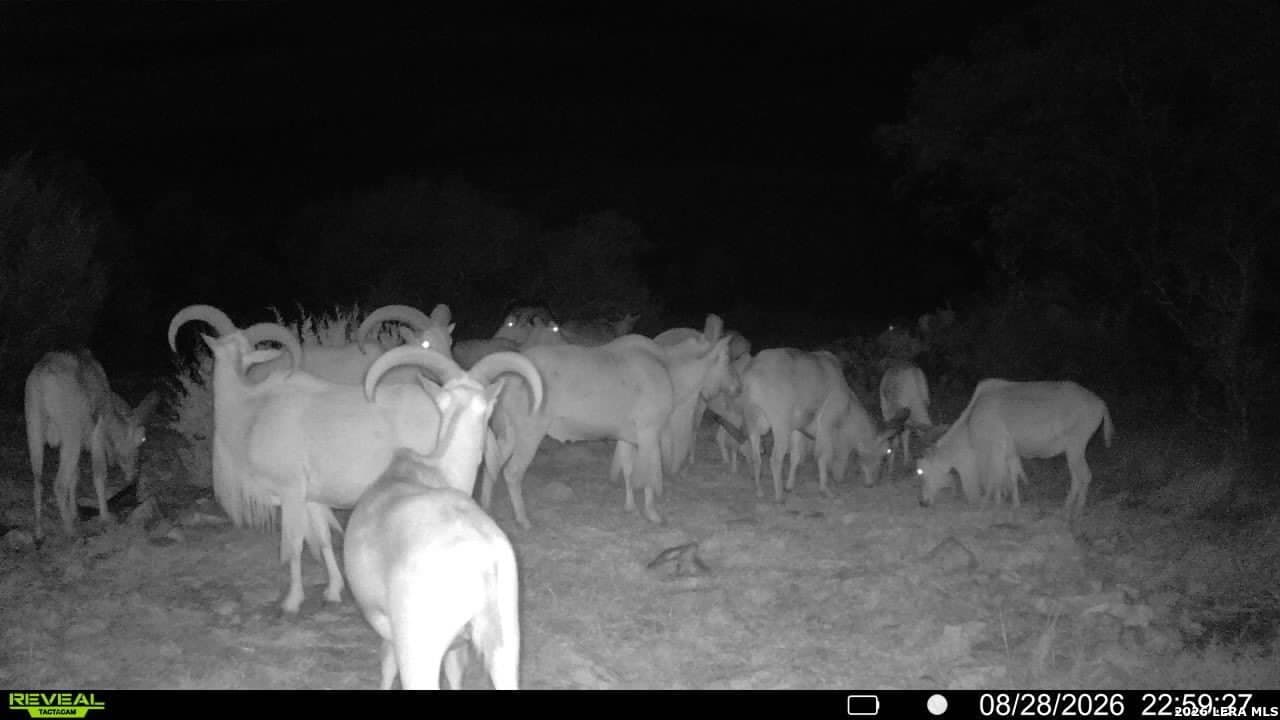 27.66 acres in Edwards County - photo 13