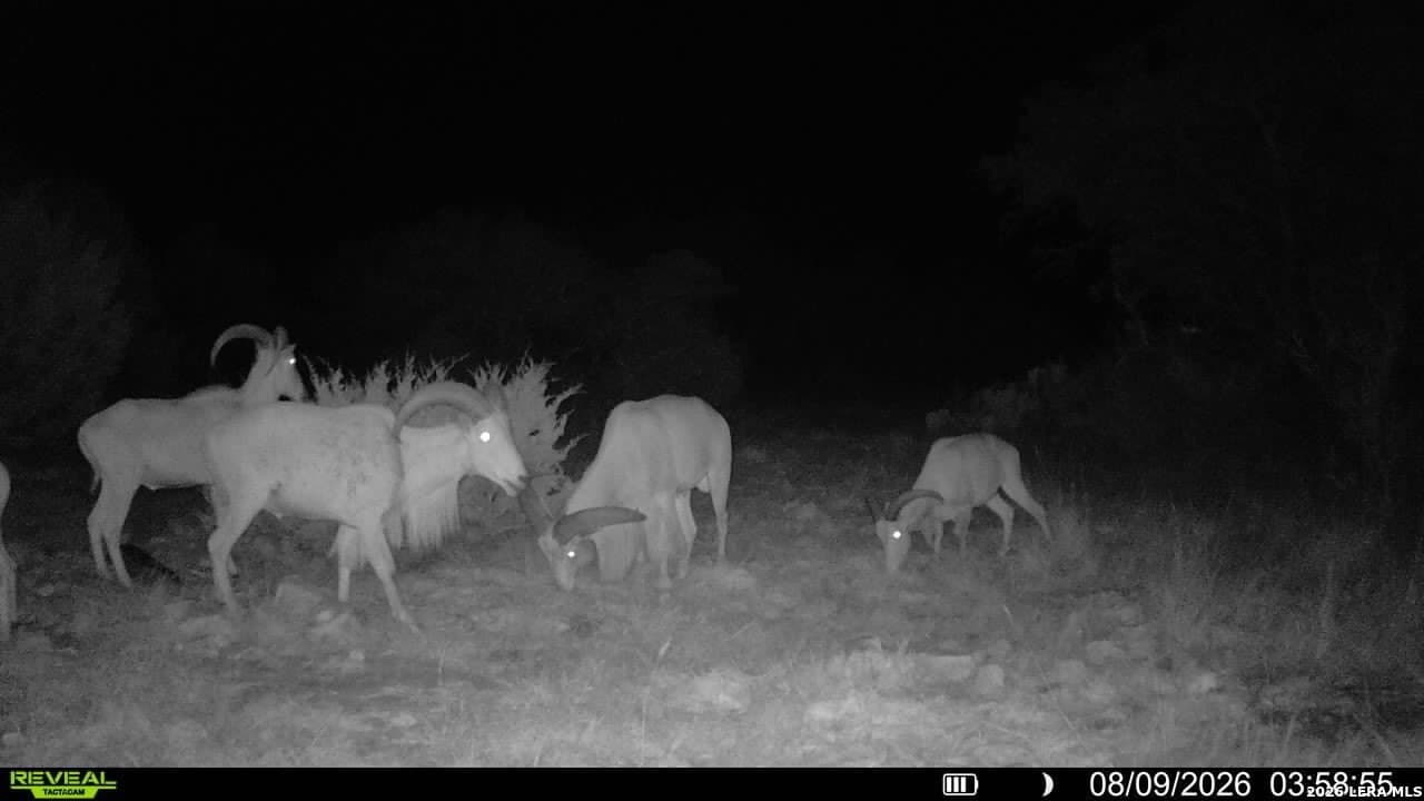27.66 acres in Edwards County - photo 16