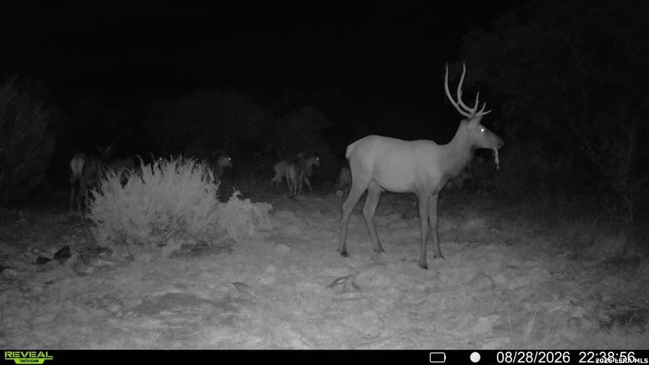 27.66 acres in Edwards County - photo 10