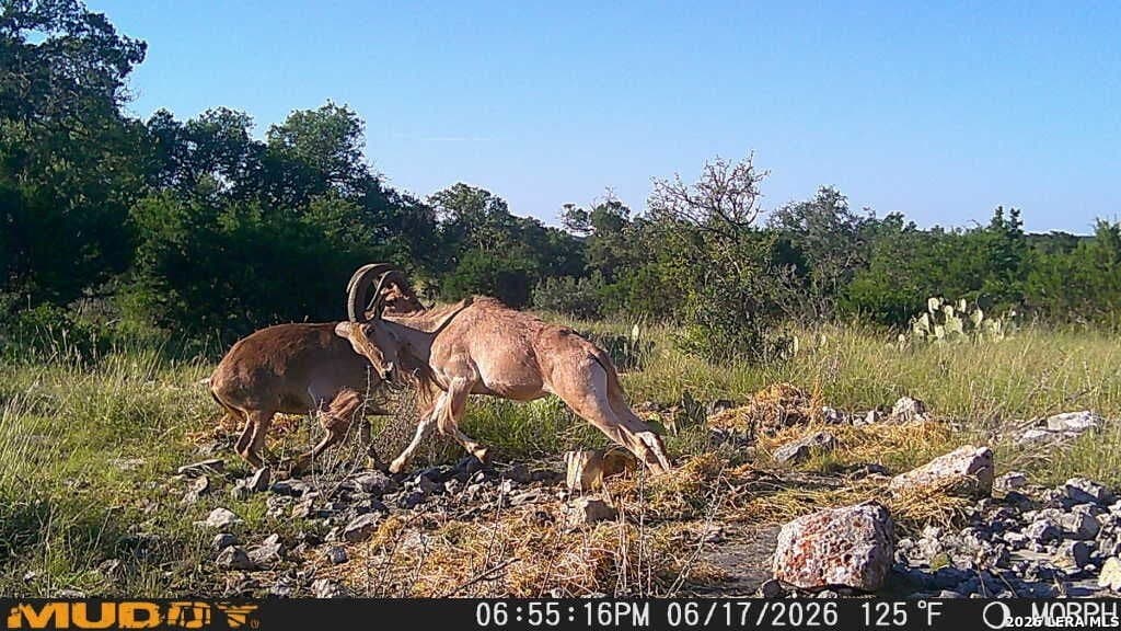 27.66 acres in Edwards County - photo 3