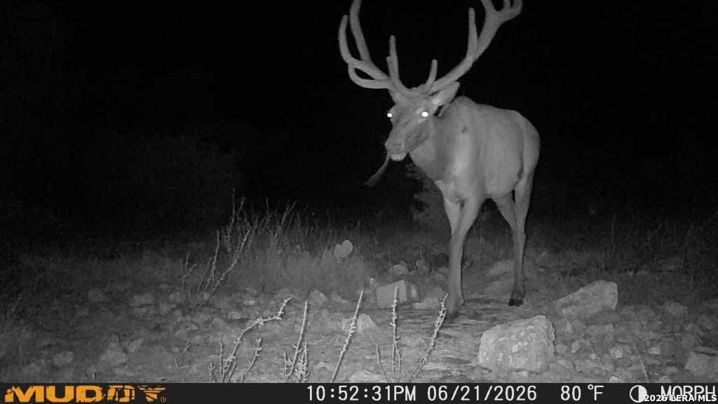 27.66 acres in Edwards County - photo 8