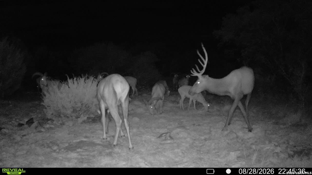 27.66 acres in Edwards County - photo 12