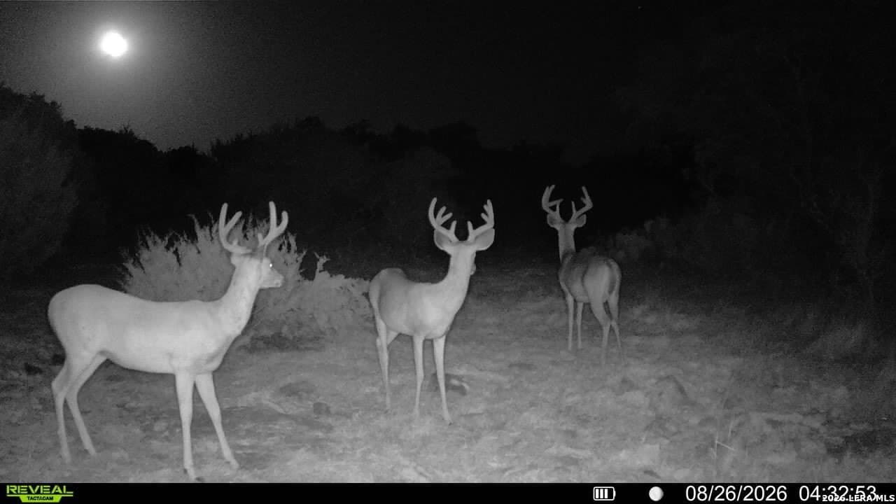 27.66 acres in Edwards County - photo 5
