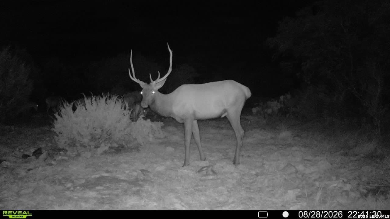 27.66 acres in Edwards County - photo 11