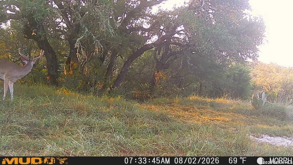 27.66 acres in Edwards County - photo 24