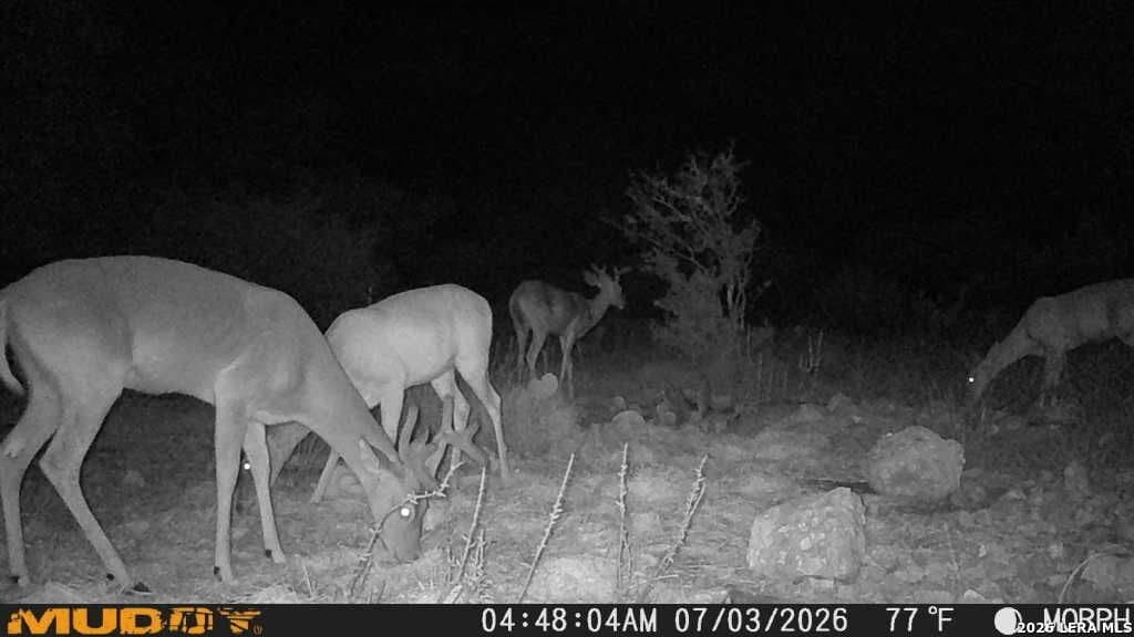 27.66 acres in Edwards County - photo 29