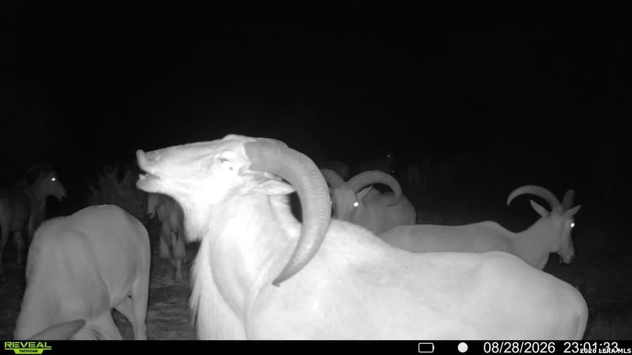 27.66 acres in Edwards County - photo 14