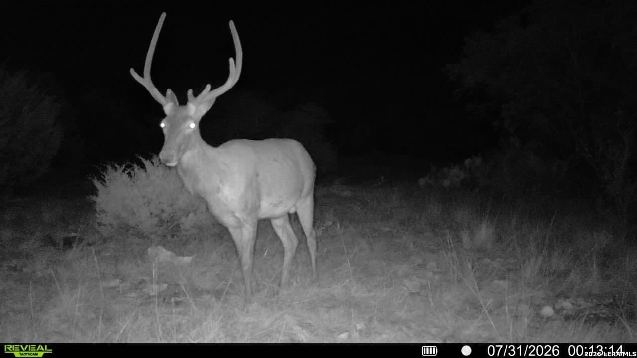 27.66 acres in Edwards County - photo 9