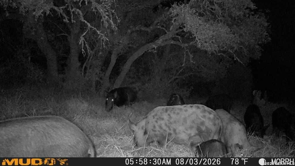 27.66 acres in Edwards County - photo 25