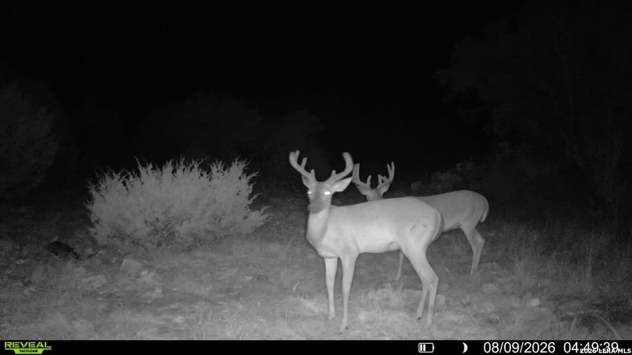 27.66 acres in Edwards County - photo 15