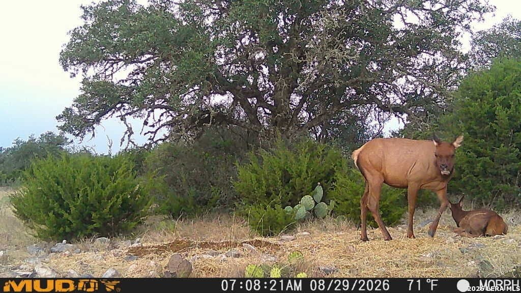 27.66 acres in Edwards County - photo 6