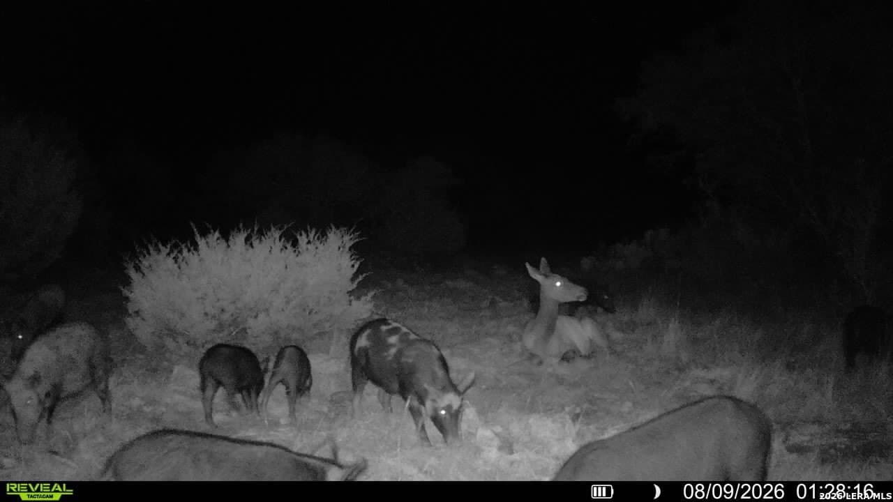 27.66 acres in Edwards County - photo 17