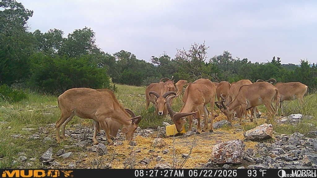 27.66 acres in Edwards County - photo 7