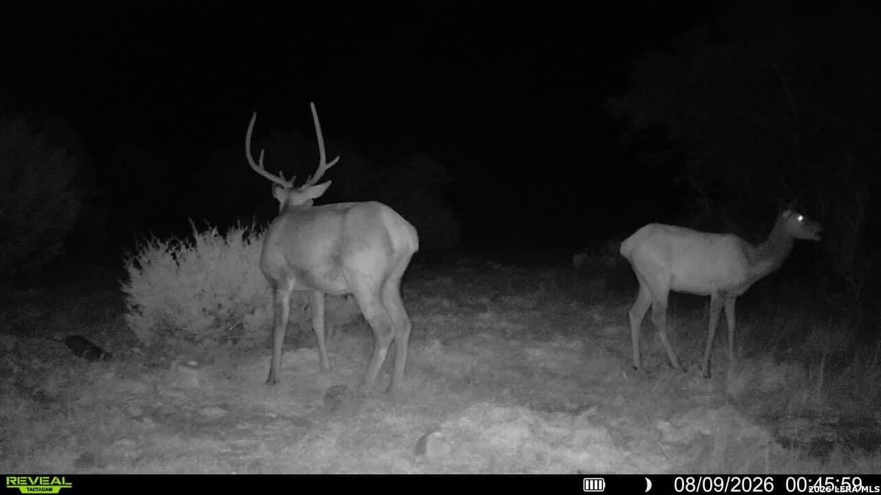27.66 acres in Edwards County - photo 21