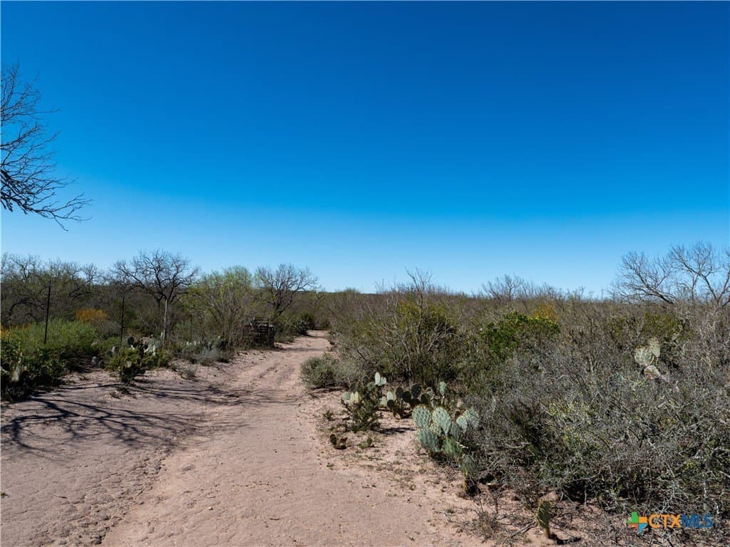 145 acres in Live Oak County - photo 10
