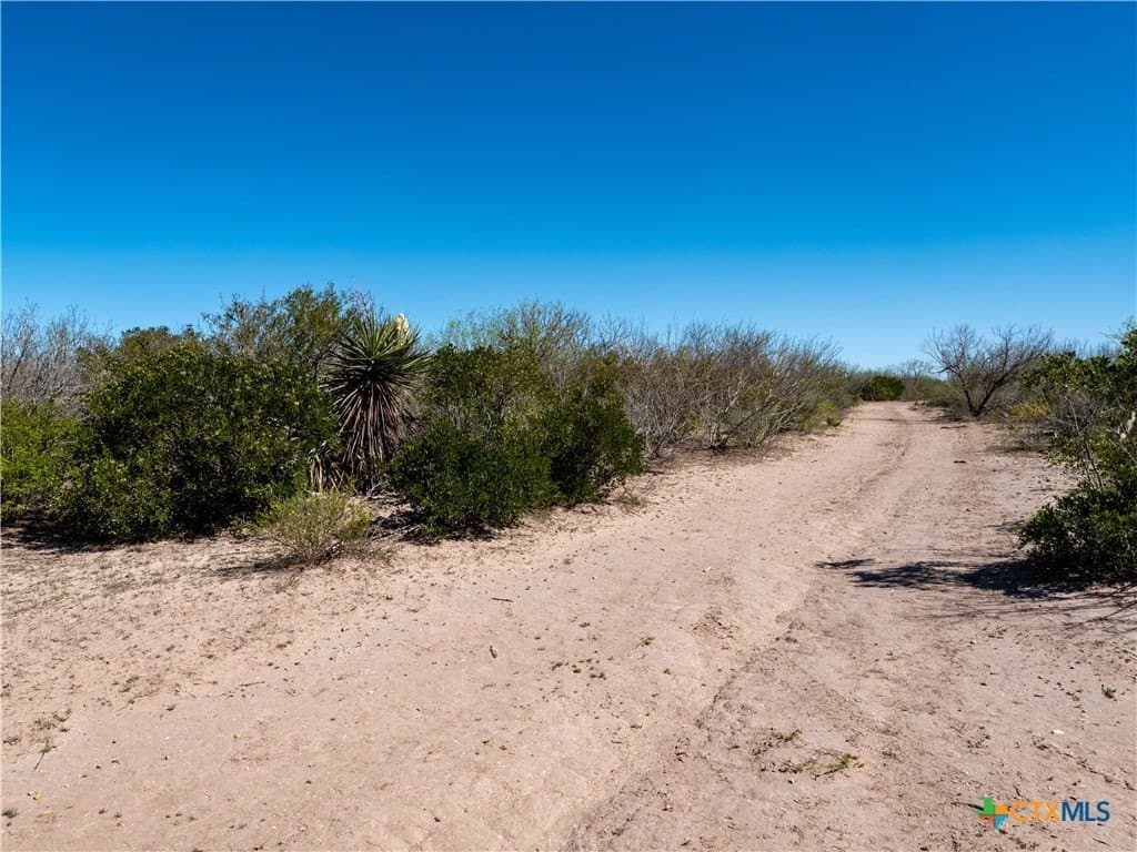 145 acres in Live Oak County - photo 16