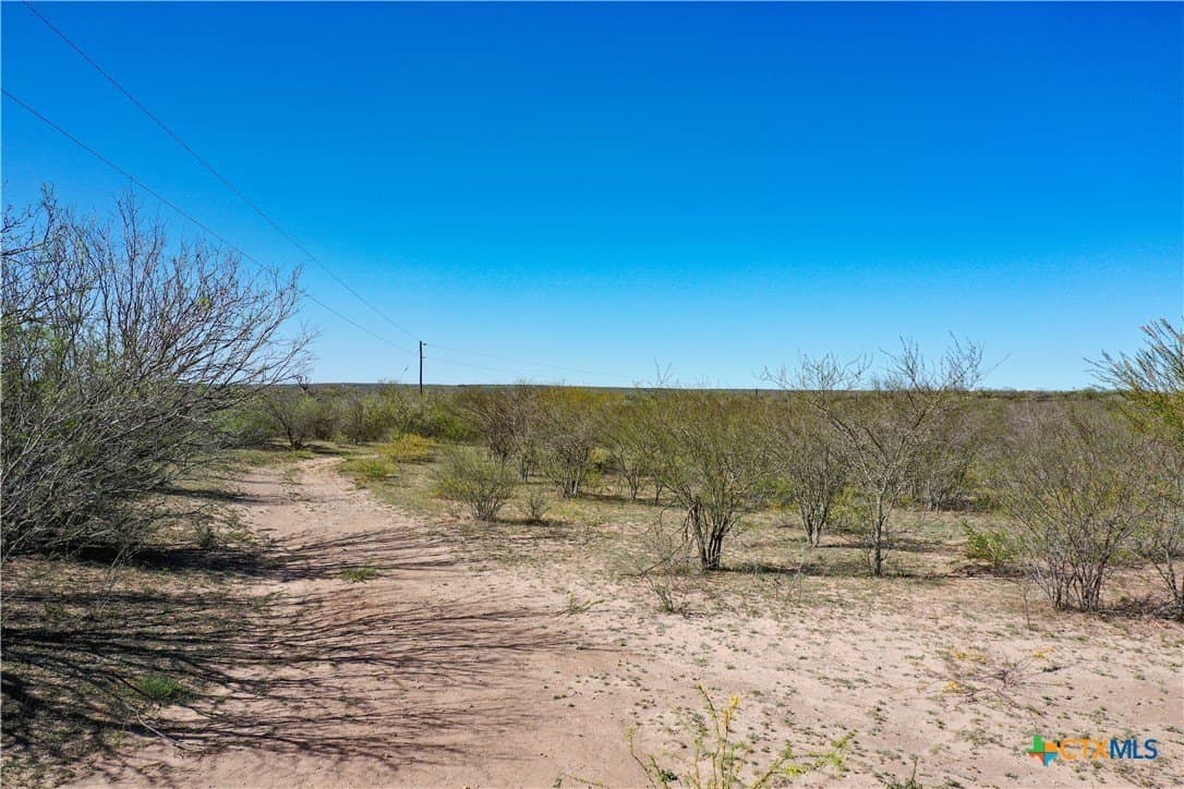 145 acres in Live Oak County - photo 24