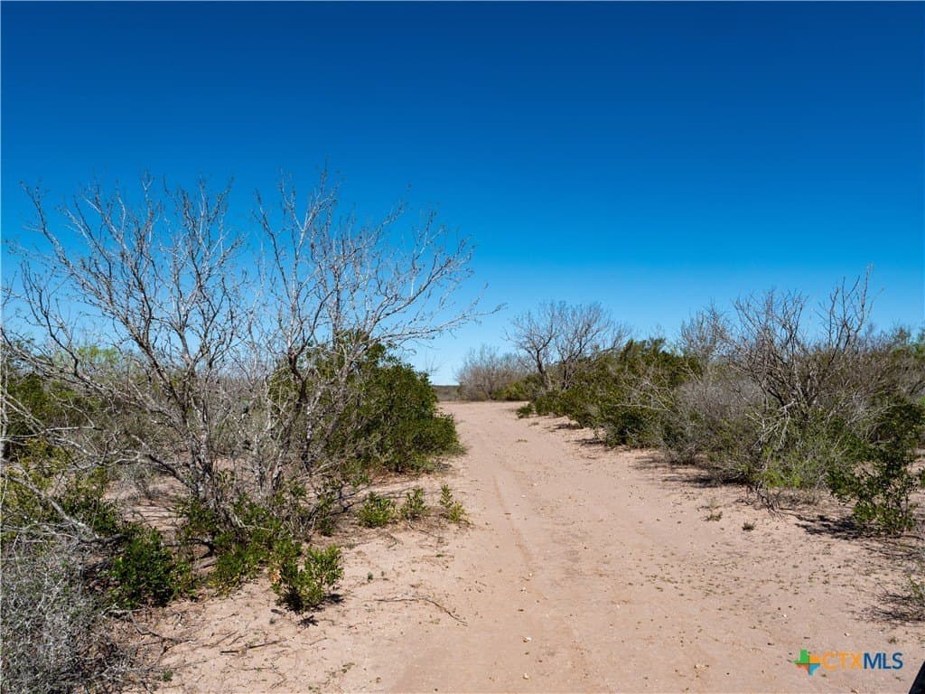 145 acres in Live Oak County - photo 15