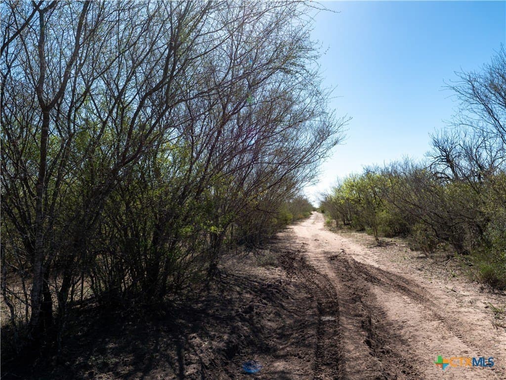 145 acres in Live Oak County featured view