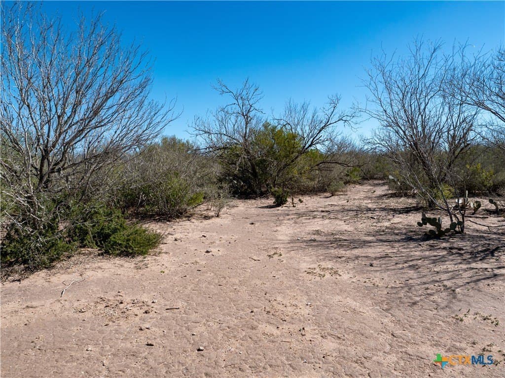 145 acres in Live Oak County - photo 12