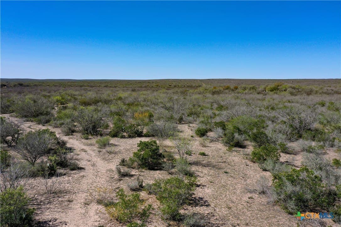 145 acres in Live Oak County - photo 45