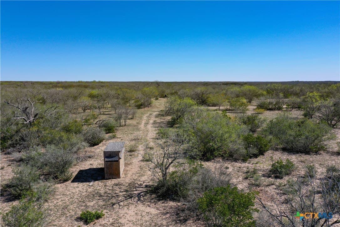 145 acres in Live Oak County - photo 46
