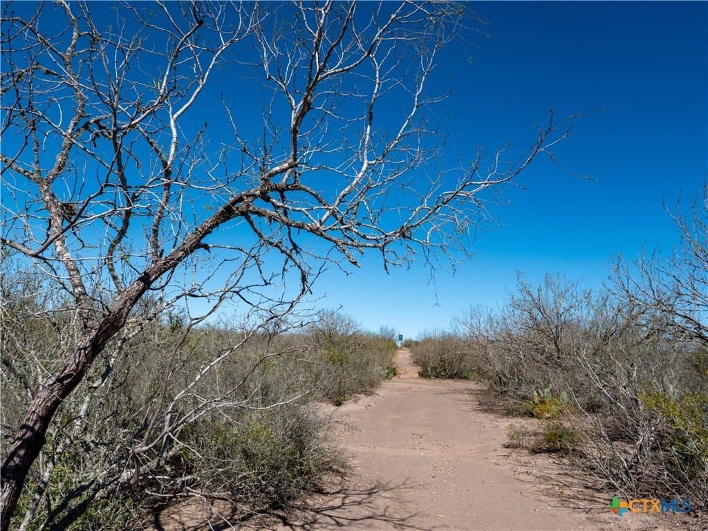 145 acres in Live Oak County - photo 11