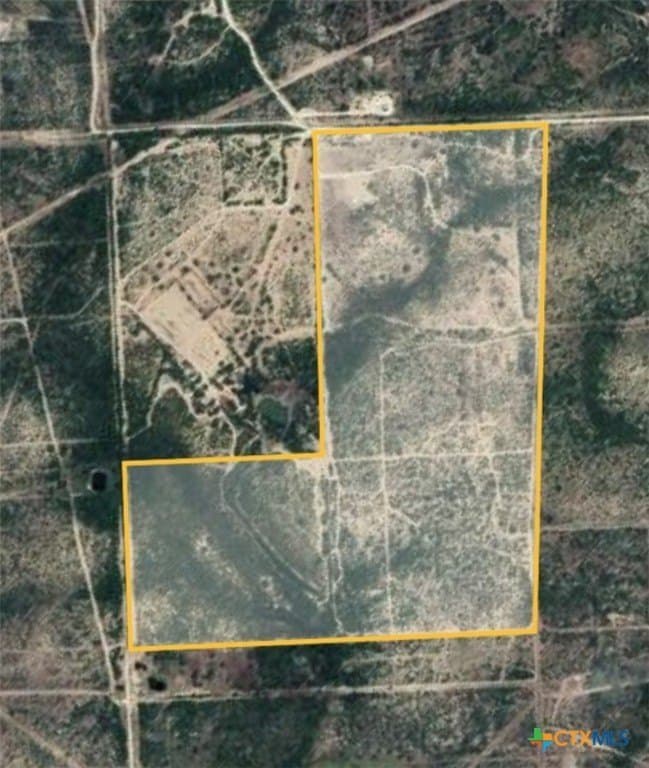 145 acres in Live Oak County gallery image 2