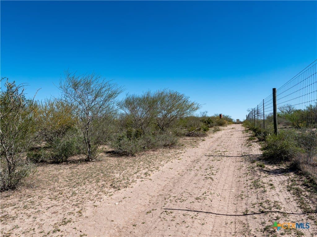 145 acres in Live Oak County - photo 9