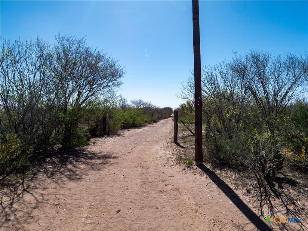 145 acres in Live Oak County gallery image 4