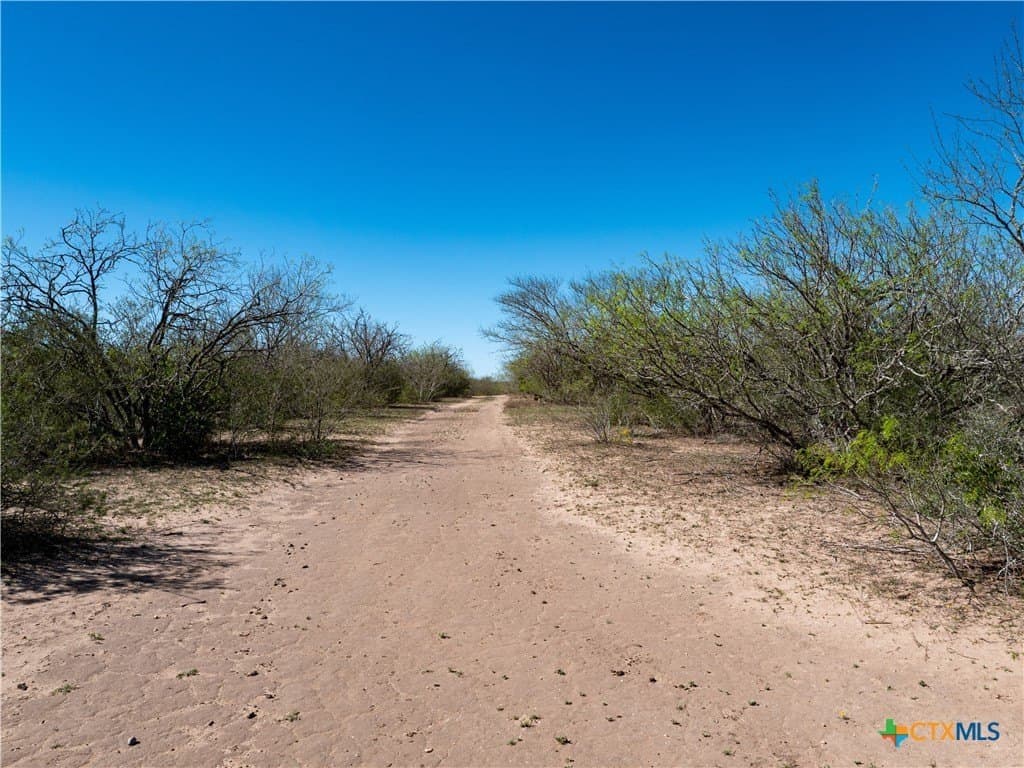 145 acres in Live Oak County - photo 6