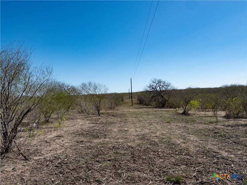 145 acres in Live Oak County - photo 23
